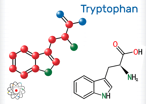 Tryptophan picture 